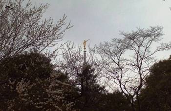 20090211 有栖川宮記念公園から見える像.JPG