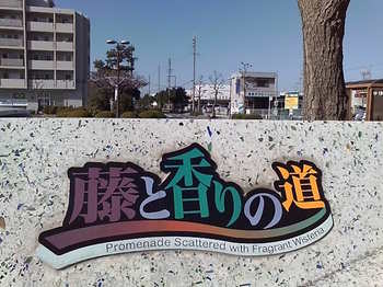 20090315 磐田市藤と香りの道.jpg