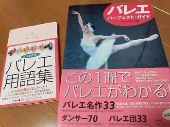 20091016 ﾊﾞﾚｴ冊子.JPG