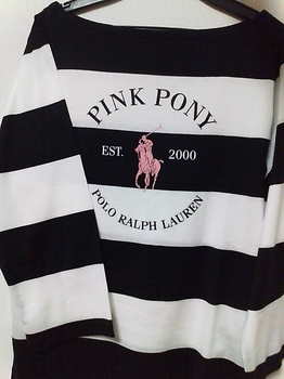 20091018 PinkPony.JPG
