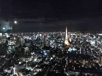 20091104 東京ｼﾃｨﾋﾞｭｰからの夜景.JPG