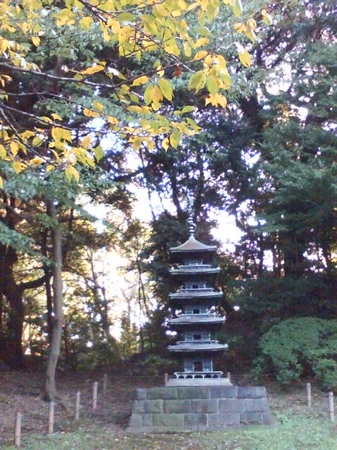 20091123 東京国博 庭園1.JPG