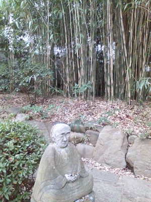 20091219 根津美庭園2.JPG