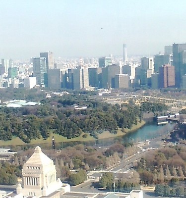 20100118 東京ｽｶｲﾂﾘｰ.jpg