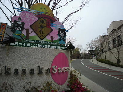 20100331 赤坂ｻｶｽ桜.jpg