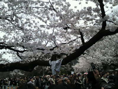 20100404 上野公園の桜7.JPG