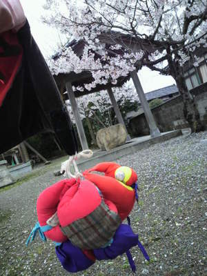 20100417 春祭り桜.jpg