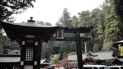 20101114 10二荒山神社1.JPG