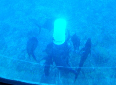 20110219 Submarine Atlantis4.JPG