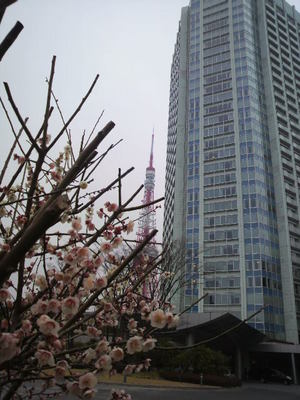 20110220 ｻﾞ･ﾌﾟﾘﾝｽ･ﾊﾟｰｸﾀﾜｰ東京1.jpg