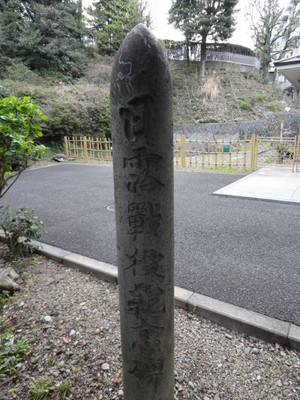 20110410 21白金2丁目氷川神社2.JPG