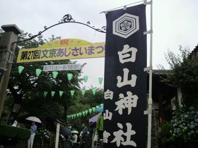 20110611 1文京あじさいまつり白山神社1.JPG