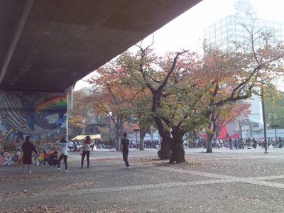 20111123 代々木公園1.JPG