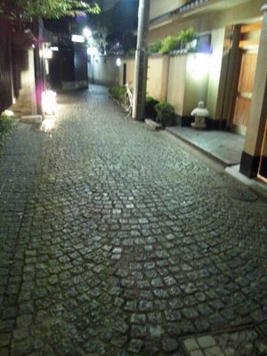 20111214 神楽坂の石畳.JPG