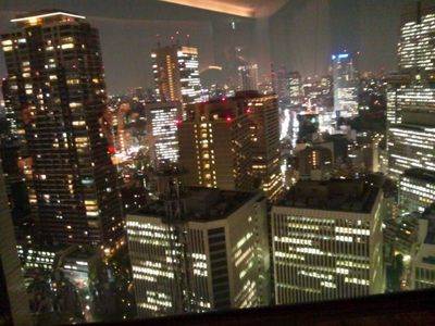 20120608 東京夜景.JPG