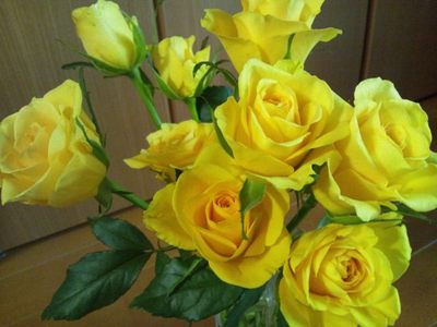 20120707 黄色いバラ.JPG